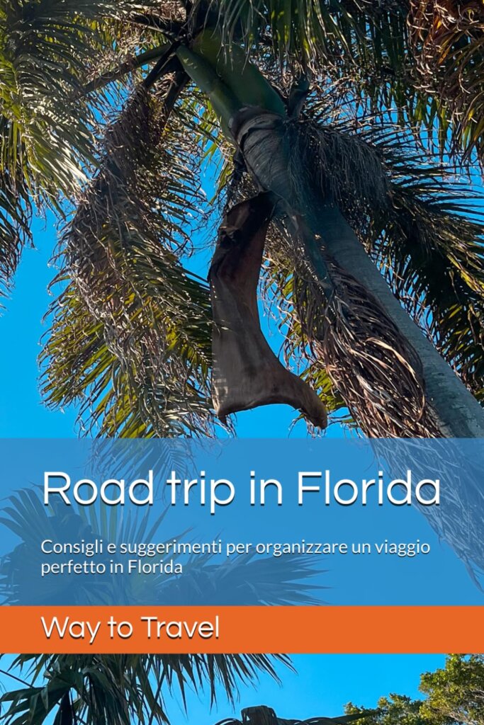 Guide di viaggio