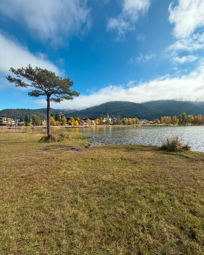 seefeld